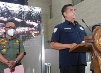 Pimpinan Perusahaan Penebang Liar di Kalteng Ditangkap Bareskrim