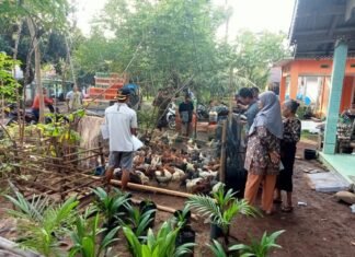 Pemdes Padang Kala Bagikan 1500 Ekor Bibit Ayam