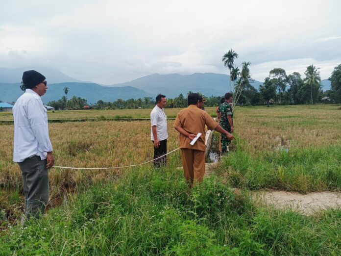 WhatsApp Image 2026-01-18 at 18.55.58