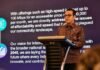 Internet 100 Mbps Rp100 Ribu Jadi Game Changer Pemerataan Digital