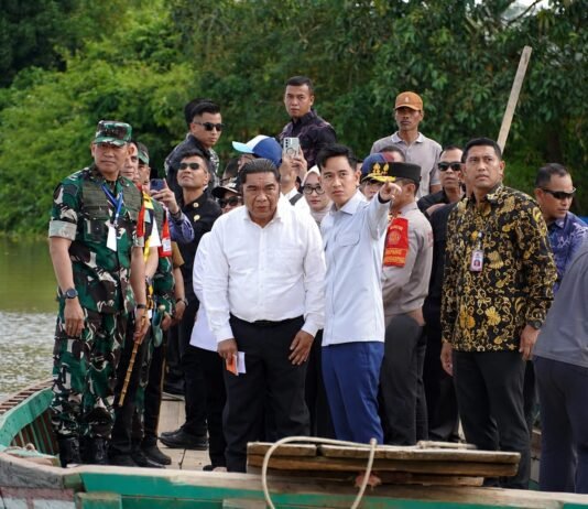 Wapres Gibran dan Wagub Jihan Pantau Pembangunan Jembatan Way Bungur, Percepat Konektivitas Antarwilayah