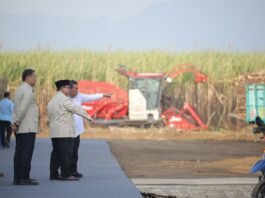 Panen Raya di Malang, Presiden Prabowo Targetkan Swasembada Gula dalam Dua Tahun
