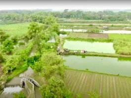 Mendagri: Reforma Agraria Harus Berikan Keadilan dan Manfaat untuk Masyarakat