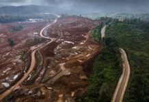 PROLOG Dorong Kemenko HTE Koordinasikan Lima Kementerian untuk Sinkronisasi Kebijakan