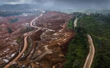 PROLOG Dorong Kemenko HTE Koordinasikan Lima Kementerian untuk Sinkronisasi Kebijakan