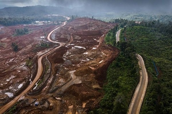 Prolog Dorong Kemenko Hilirisasi dan Transisi Energi Koordinasikan Lima Kementerian untuk Sinkronisasi Kebijakan