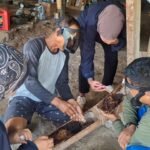 TEP Unair Latih Warga Transmigrasi Sumalata Budidaya Lebah Trigona