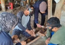 TEP Unair Latih Warga Transmigrasi Sumalata Budidaya Lebah Trigona