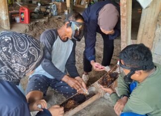 TEP Unair Latih Warga Transmigrasi Sumalata Budidaya Lebah Trigona