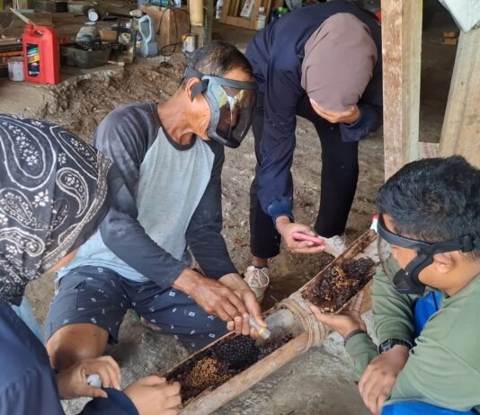TEP Unair Latih Warga Transmigrasi Sumalata Budidaya Lebah Trigona